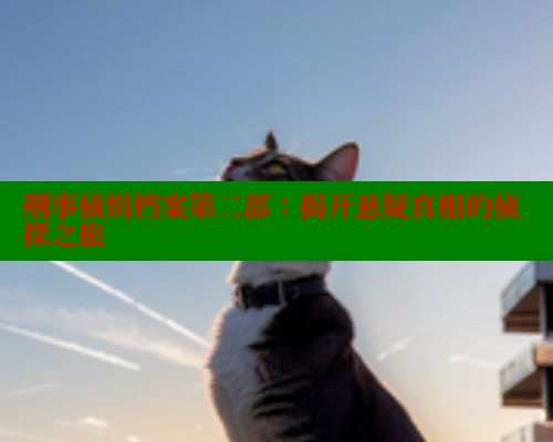刑事侦缉档案第二部：揭开悬疑真相的侦探之旅 春水堂官方网站 第1张