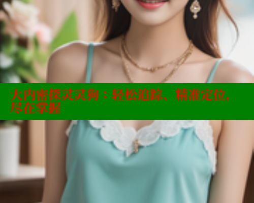 大内密探灵灵狗：轻松追踪、精准定位，尽在掌握 春水堂 第1张