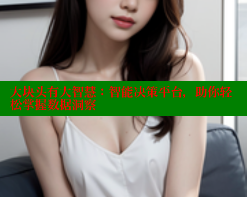 大块头有大智慧：智能决策平台，助你轻松掌握数据洞察 成人春水堂 第2张