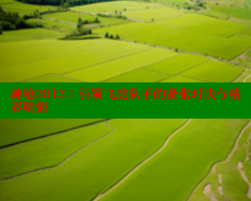 神枪2013：引领飞虎队手的紧张对决与精彩剧情 成人春水堂 第1张
