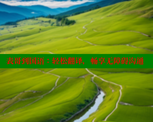 表哥到国语：轻松翻译，畅享无障碍沟通 成人春水堂 第2张