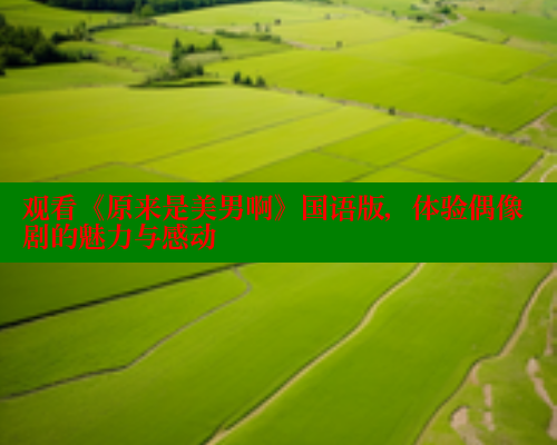 观看《原来是美男啊》国语版，体验偶像剧的魅力与感动 春水堂 第1张