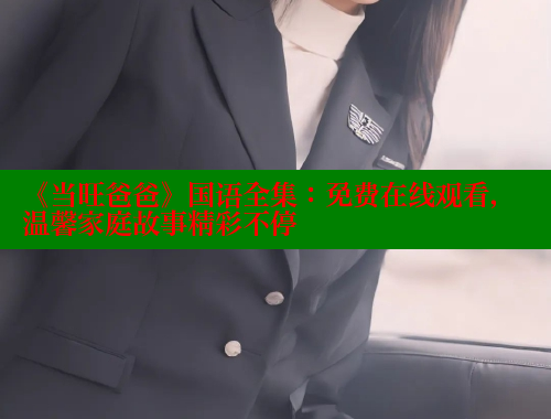 《当旺爸爸》国语全集：免费在线观看，温馨家庭故事精彩不停 春水堂 第1张