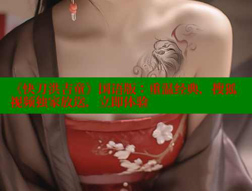 《快刀洪吉童》国语版：重温经典，搜狐视频独家放送，立即体验 成人春水堂 第2张