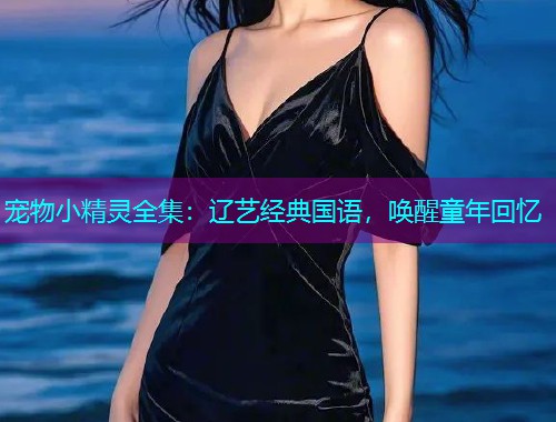 宠物小精灵全集：辽艺经典国语，唤醒童年回忆